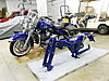 DSCN0225.jpg