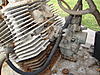DSC01355.JPG